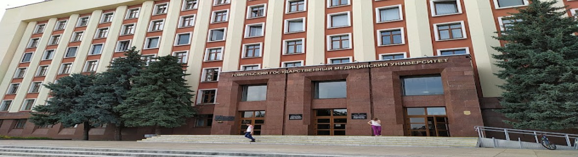 Geomel State Medical University